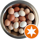 Thetis Pasta Thetis Pasta